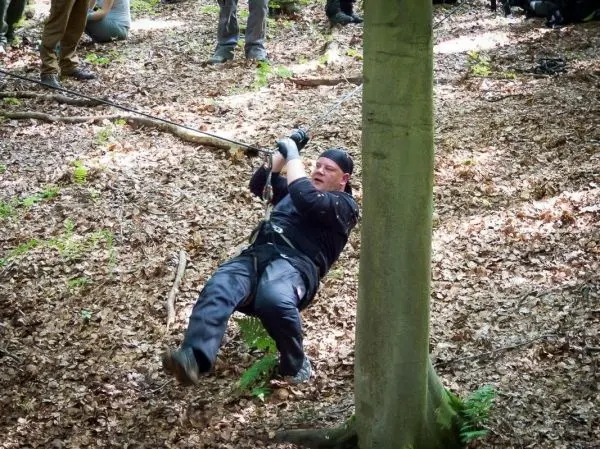 Seilquerung an einem Baumstamm im Wald mit gesichertem Teilnehmer