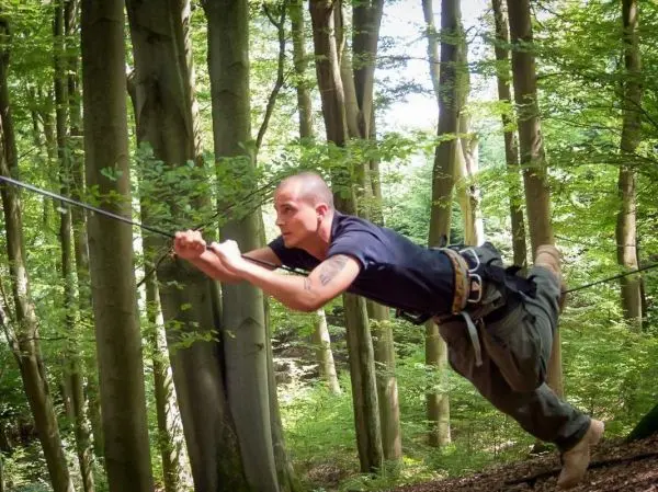 Seilquerung über dem Boden zwischen Bäumen in einem Waldgebiet