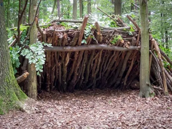 Selbstgebaute Unterkunft aus Ästen und Blättern im Wald