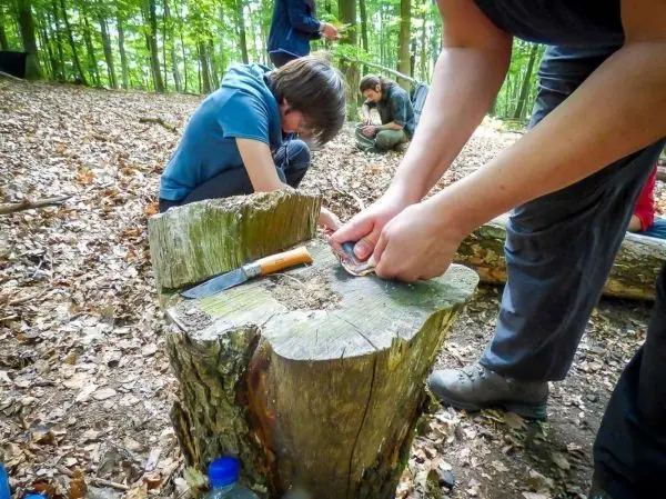 Messer schneidet Holz auf einem Baumstumpf im Wald