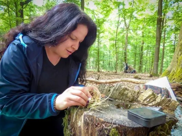 Person bereitet Zunder auf einem Baumstumpf vor im Wald