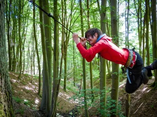 Person schwingt an Seil zwischen Bäumen im Wald