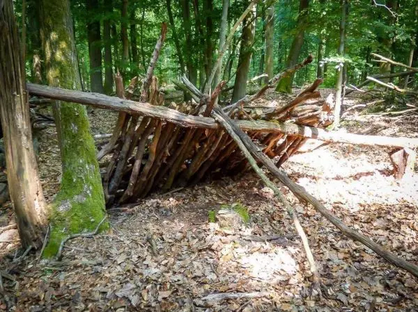 Selbstgebaute Notunterkunft aus Ästen im Wald, umgeben von Laub