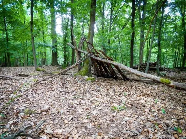 Selbstgebaute Struktur aus Ästen im Wald auf Laubboden