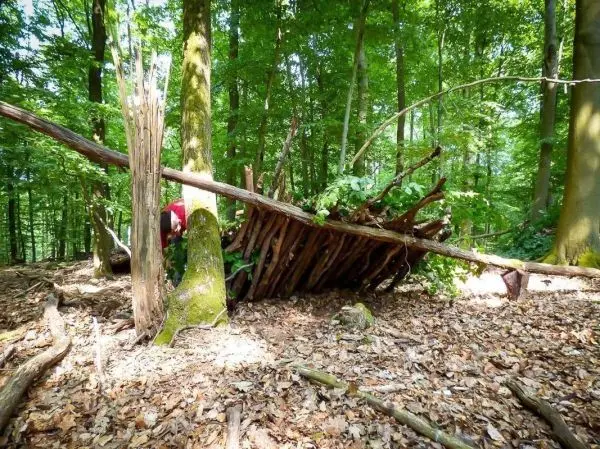 Selbstgebaute Tarp-Notunterkunft aus Ästen und Blättern im Wald