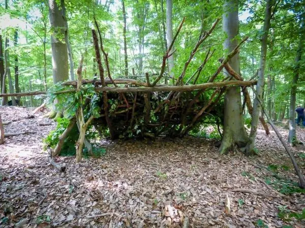 Selbstgebaute Tarp-Notunterkunft aus Ästen und Blättern im Wald