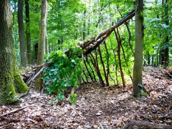Selbstgebaute Tarp-Notunterkunft aus Ästen und Blättern im Wald