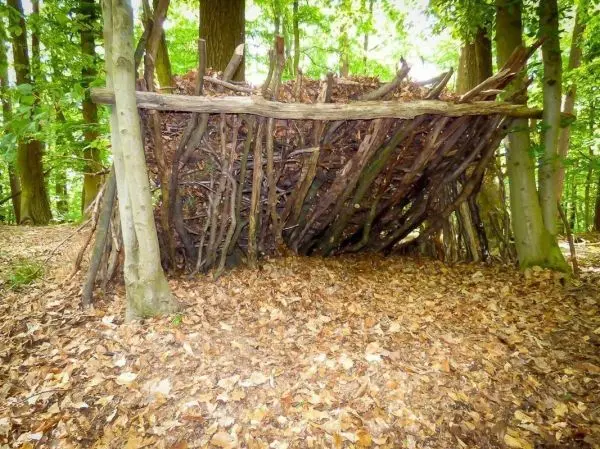Selbstgebaute Tarp-Notunterkunft aus Ästen und Laub im Wald
