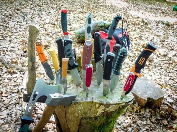 Verschiedene Messer und eine Axt stecken in einem Baumstumpf im Wald