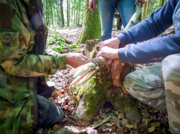 Zwei Personen binden mit Schnur einen Stock an einem Baumstumpf fest