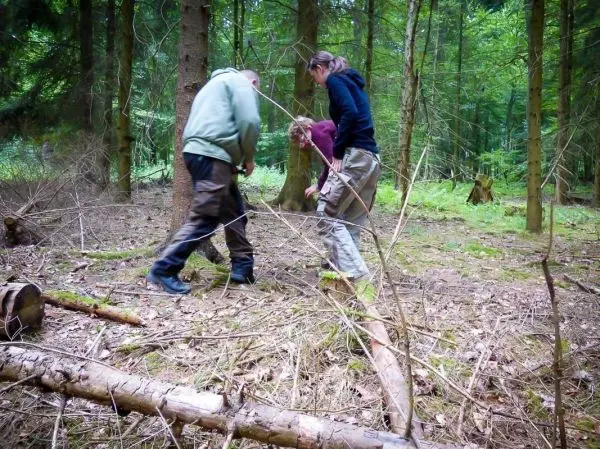 Drei Personen sammeln Äste und Holz im Wald