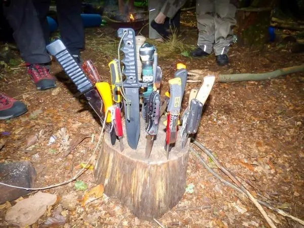Eine Vielzahl von Messern steckt in einem Baumstumpf