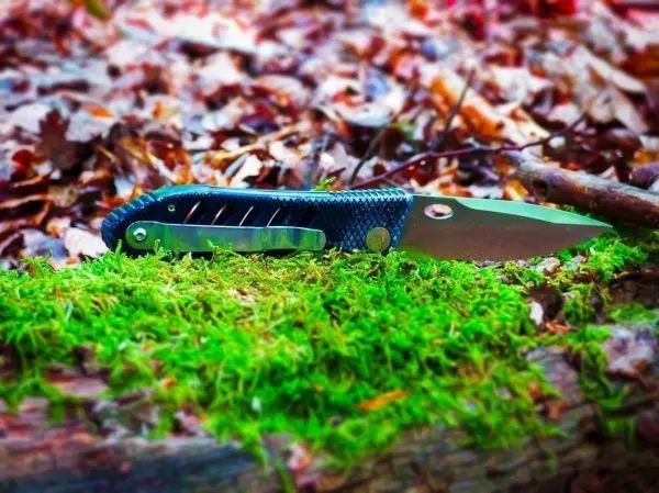 Faltmesser liegt auf moosbedecktem Holz im Wald