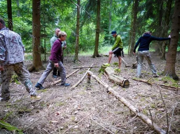 Gruppe überquert unebenes Gelände im Wald zwischen Bäumen und Holzstücken