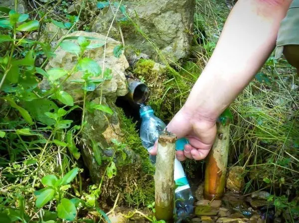 Hand greift nach Wasserflasche an einer Quelle zwischen Steinen und Pflanzen