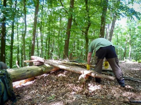 Holzstück wird mit einer Klappsäge bearbeitet, im Wald zwischen Bäumen