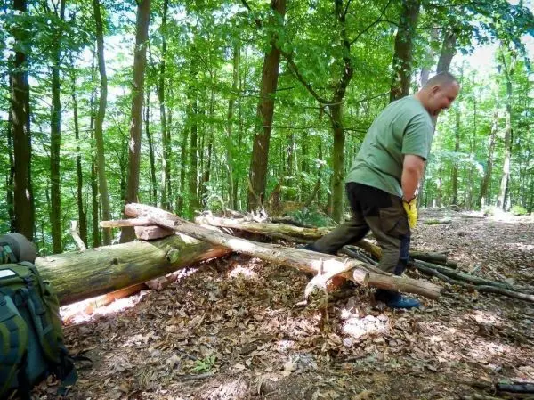 Mann hebt einen Holzstamm im Wald, um ihn zu bewegen