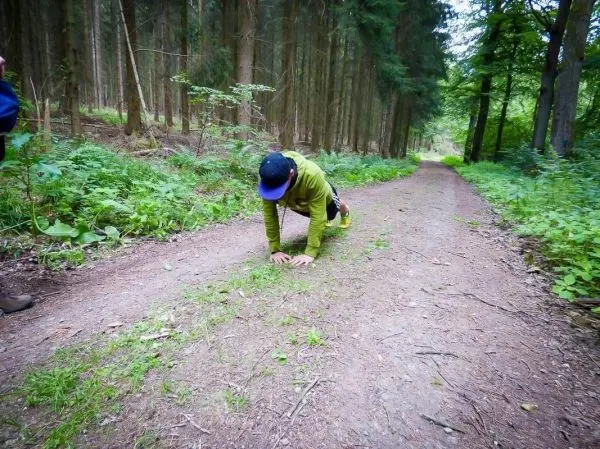 Person führt Liegestütze auf einem Waldweg aus