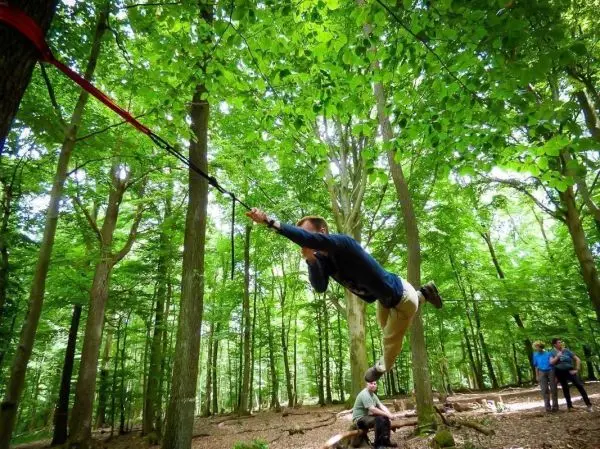 Person schwingt an einem Seil zwischen Bäumen