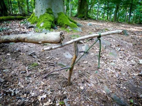 Schlagfalle (Figure-Four) aus Holz und Schnur im Wald aufgebaut