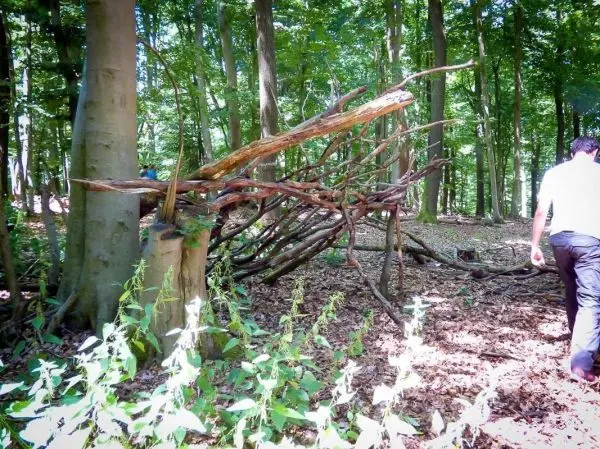 Selbstgebaute Konstruktion aus Ästen neben Baumstumpf im Wald