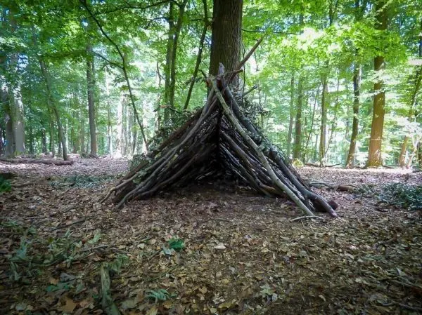 Selbstgebaute Laubhütte aus Ästen im Wald, umgeben von Laub und Bäumen
