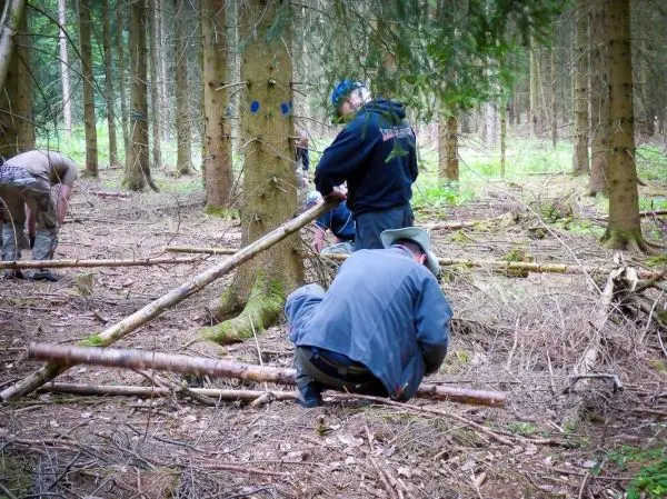 Teilnehmer sammeln Äste im Wald für eine Konstruktion