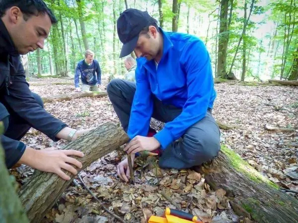 Zwei Personen bauen eine Schlagfalle (Figure-Four) aus Holz im Wald
