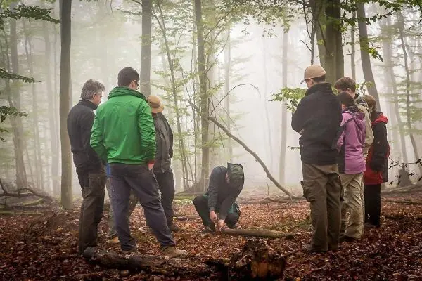 Gruppe beobachtet Anleitung zur Holzarbeit im Wald