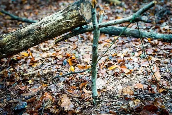 Holzstück liegt auf dem Boden zwischen Laub und Ästen