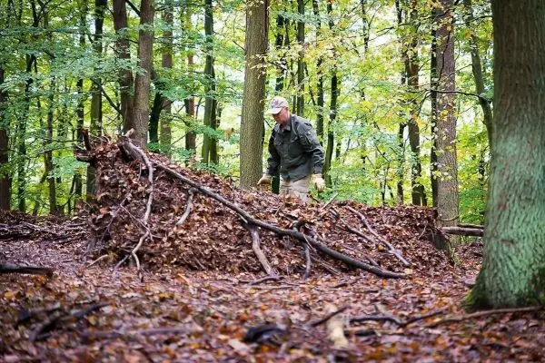 Mann überprüft selbstgebaute Laubhütte im Wald