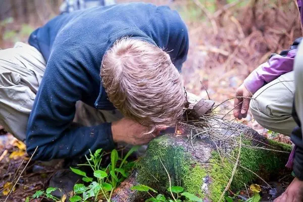 Person erzeugt Feuer mit Zunder auf einem Baumstumpf beim Survival Training