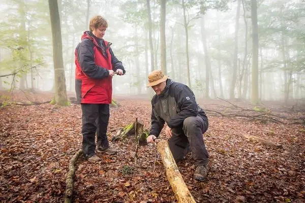 Person schneidet Holzstück im Wald, andere Person beobachtet