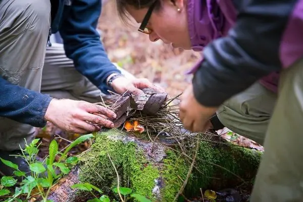 Personen entzünden Feuer mit Holz und Gras auf einem Baumstumpf beim Survival Training