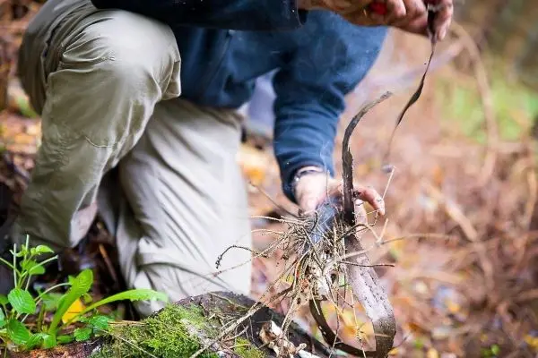 Zunder wird aus Ästen und trockenem Material vorbereitet
