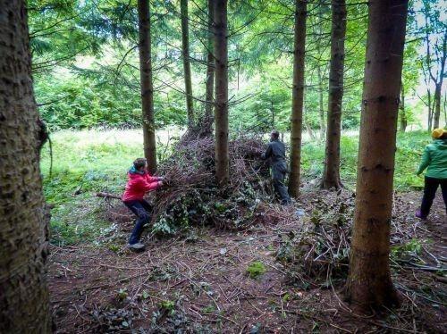 Team-Survival-12805