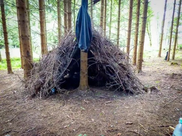 Hütte aus Ästen steht zwischen Bäumen im Wald
