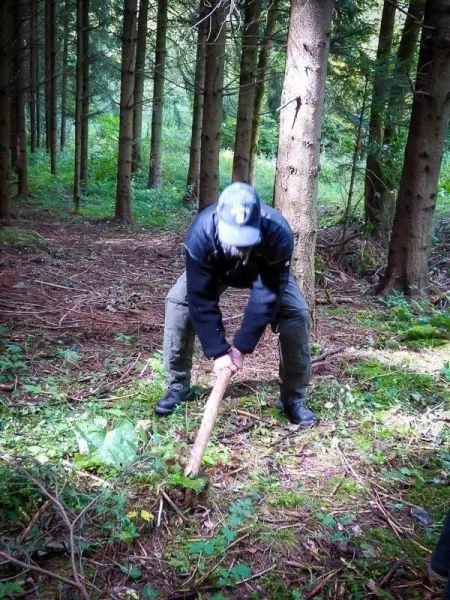 Person bearbeitet einen Baumstumpf im Wald