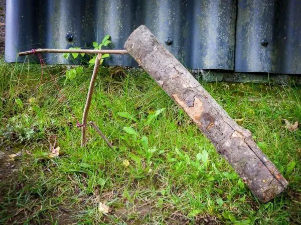 Schlagfalle (Figure-Four/4er-Falle) aus Holzstücken im Gras aufgebaut