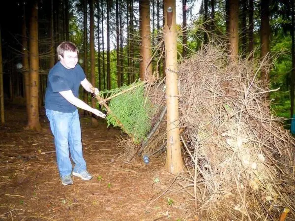 Selbstgebaute Notunterkunft aus Ästen und Zweigen wird mit Grünzeug ergänzt