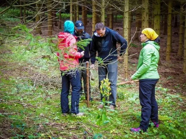 Vier Personen stehen im Wald und betrachten einen Stock auf dem Boden