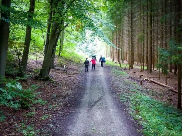 Wanderer auf einem Schotterweg durch einen bewaldeten Bereich