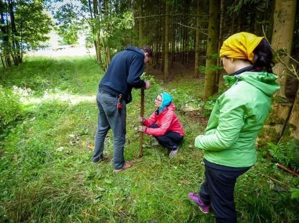 Zwei Personen arbeiten an einer Holzstütze im Wald, eine Person beobachtet