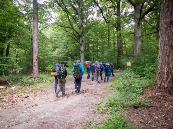 Gruppe von Personen wandert auf einem Waldweg mit Rucksäcken