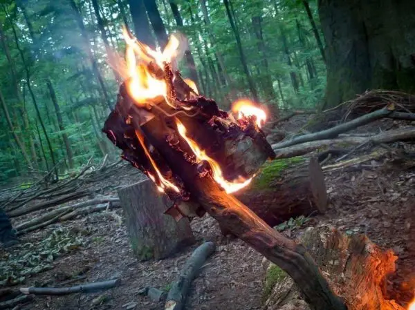 Kleine Flamme auf brennendem Holzstück im Wald