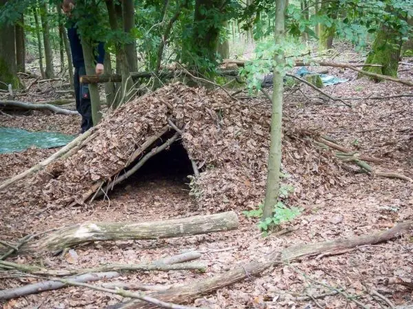 Laubhütte aus Ästen und Blättern im Wald, Holzstück liegt daneben