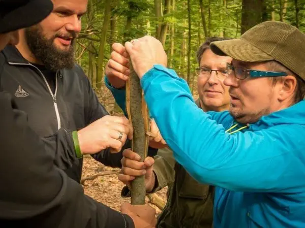 Mehrere Personen arbeiten gemeinsam an einem Holzstück im Wald