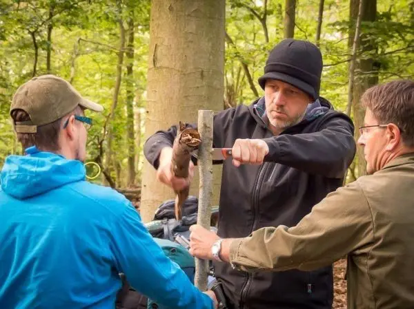 Messer bearbeitet Holzstück, während zwei Personen unterstützen