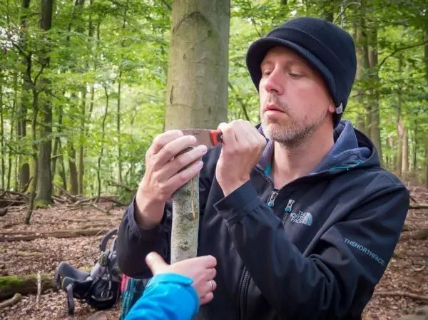 Messer schneidet in einen Baumstamm im Wald, Hand reicht Werkzeug