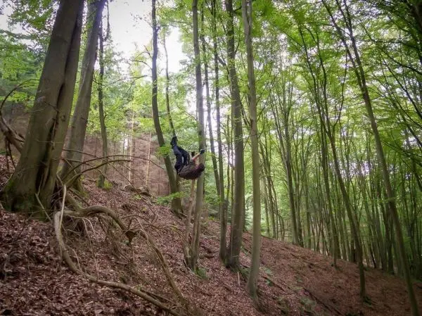 Person hängt an einem Baumstamm im Wald
